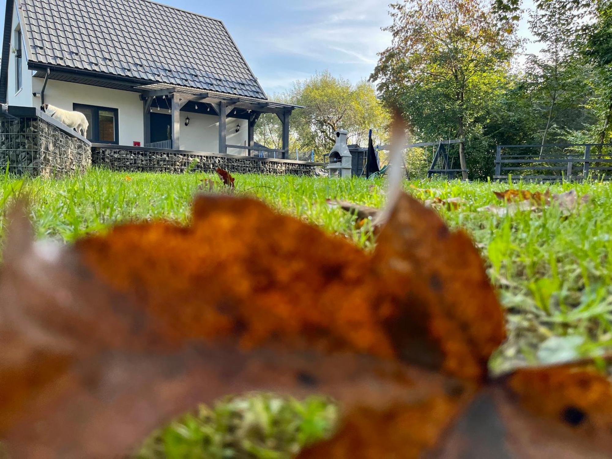Domki Nad Starym Potokiem Ustrzyki Dolne Extérieur photo
